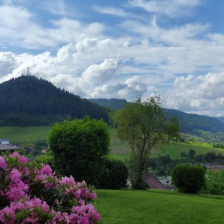 Traumblick Fewo Mit Pool Baiersbronn Dış mekan fotoğraf